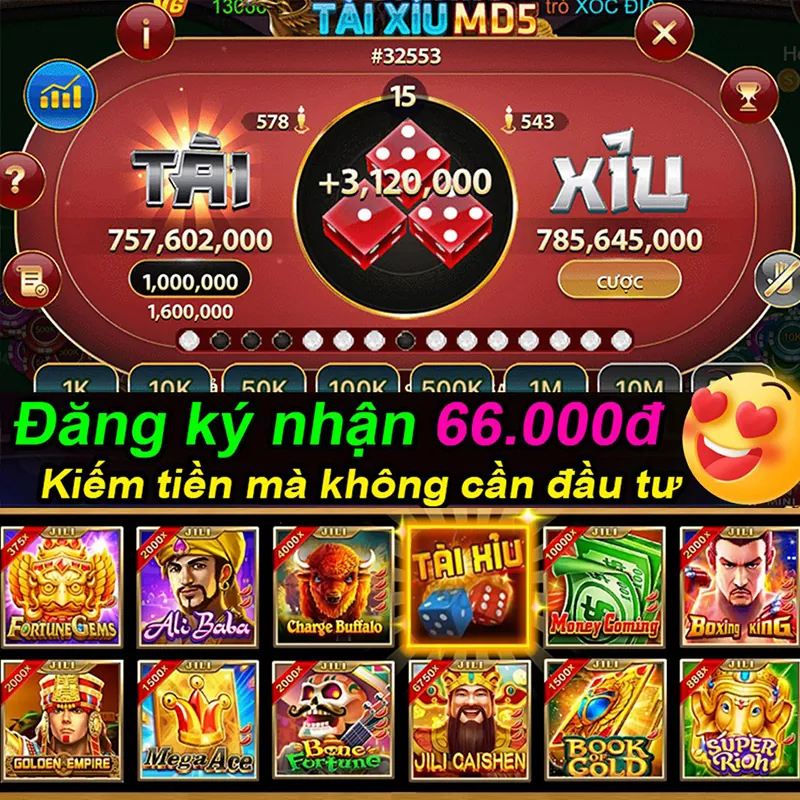 Giấy phép hoạt động và quy định